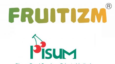 Fruitizm Logo