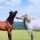 A Startup Driven by Passion: In Conversation with Happy Saddles ..